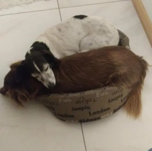 Da Natalino Farma
