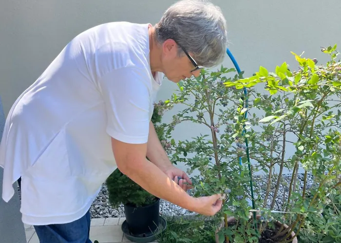 Farma Da Natalino *